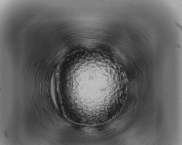 X0000096490073200801311627