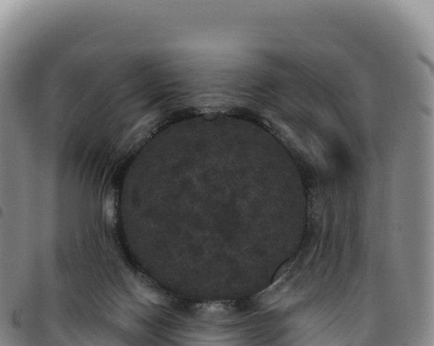 X0000096490074200801311627