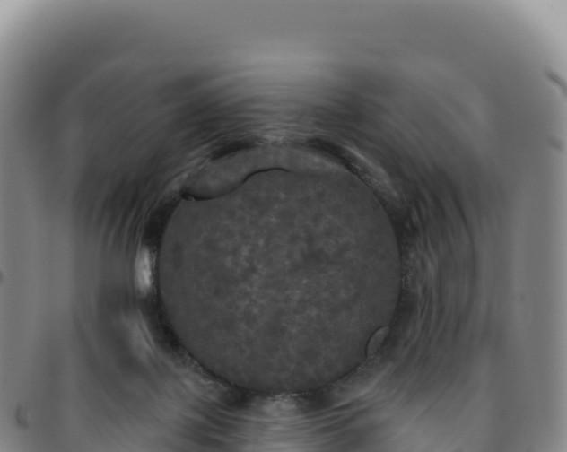 X0000096490075200801311627