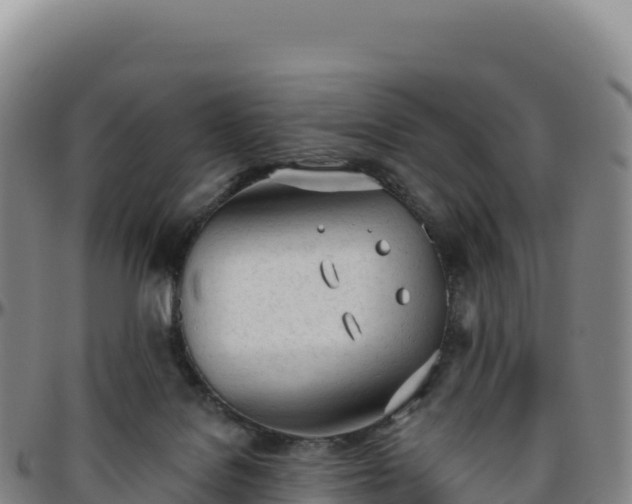 X0000096490076200801311627