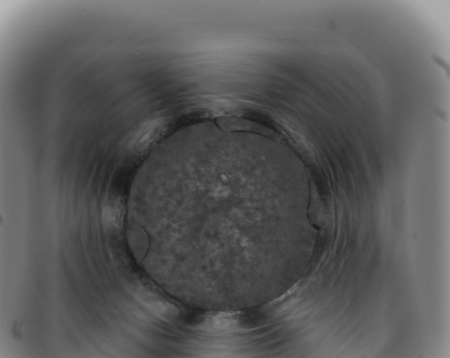 X0000096490078200801311627