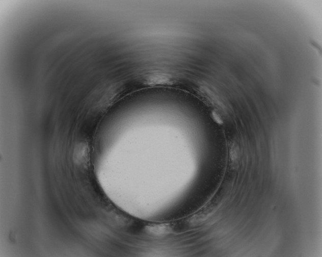 X0000096490079200801311627