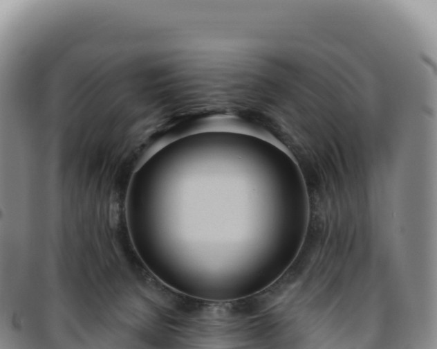 X0000096490080200801311627