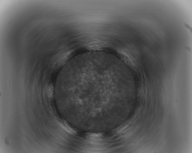 X0000096490081200801311627