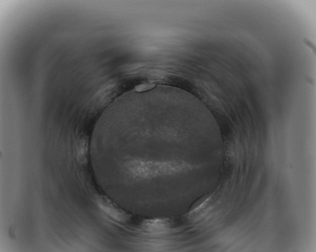 X0000096490082200801311627