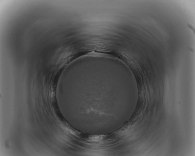 X0000096490084200801311627