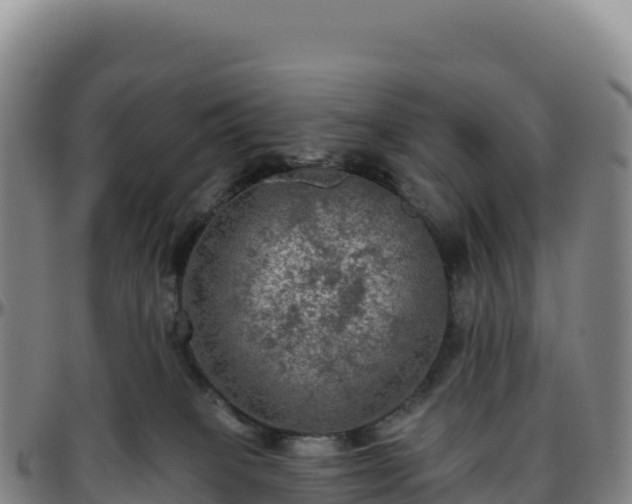 X0000096490085200801311627