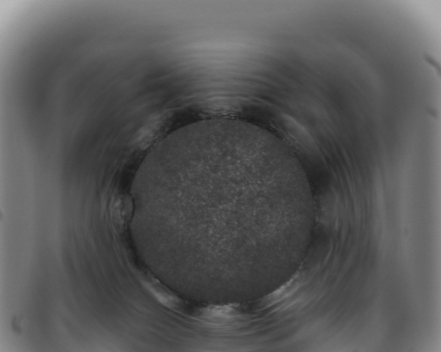 X0000096490086200801311627