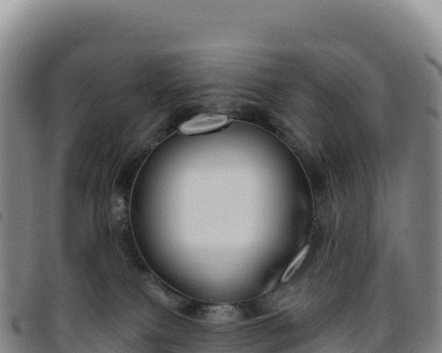 X0000096490087200801311627