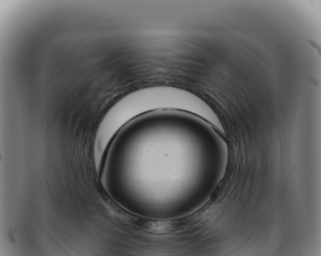 X0000096490088200801311628