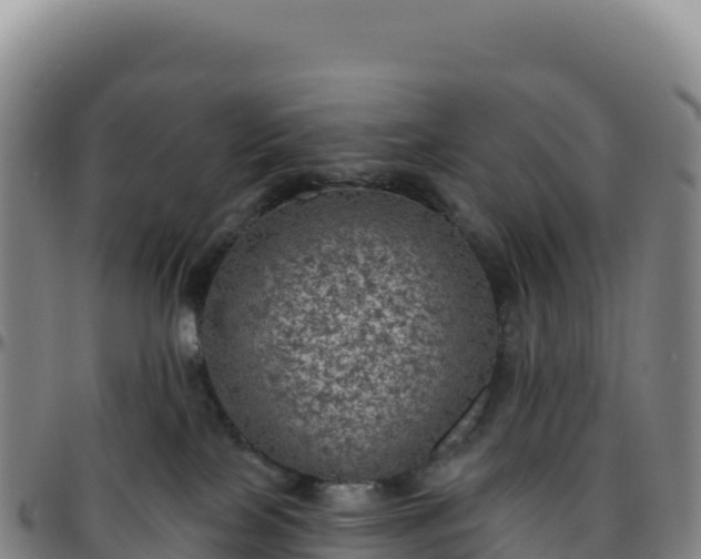 X0000096490089200801311628