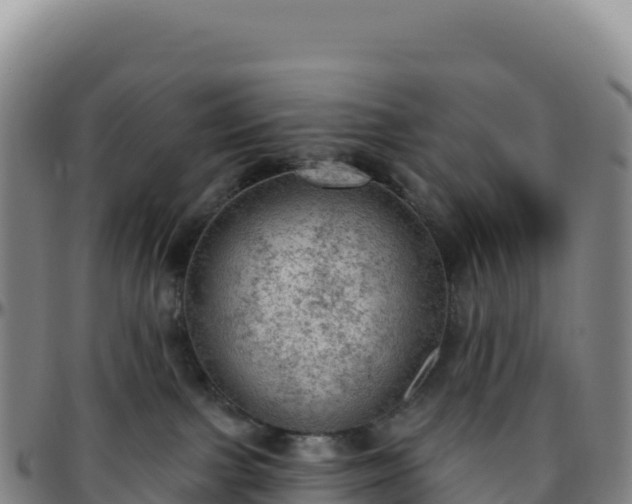 X0000096490091200801311628