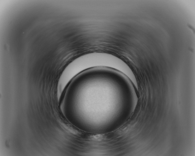 X0000096490092200801311628