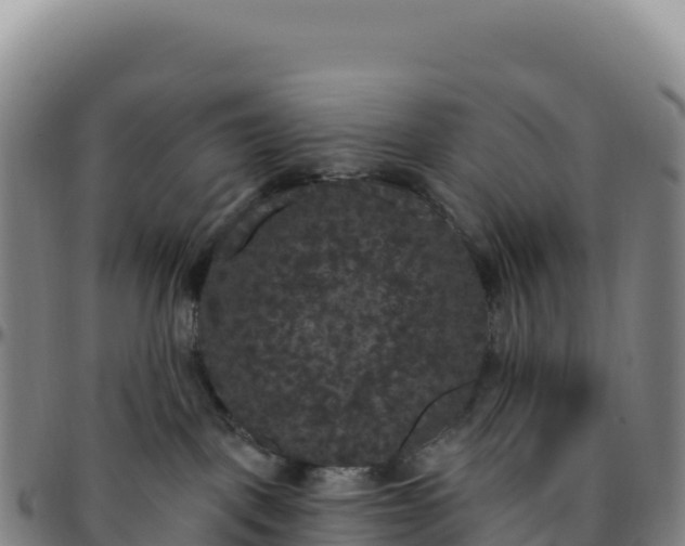 X0000096490093200801311628