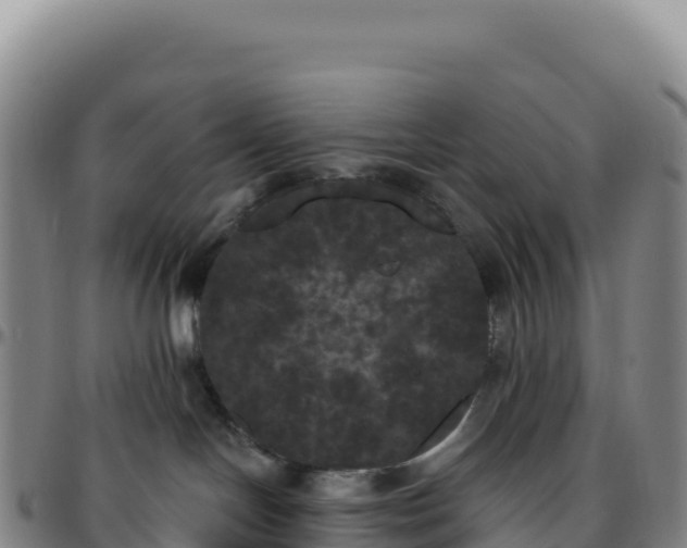 X0000096490094200801311628