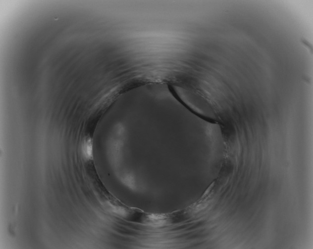 X0000096490095200801311628