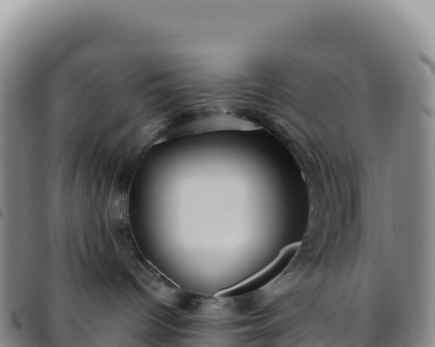 X0000096490096200801311628