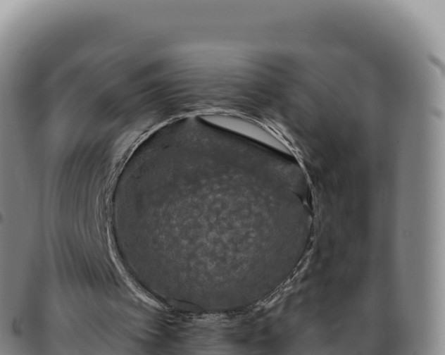 X0000096490097200801311627