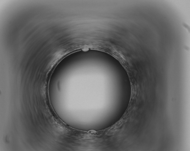 X0000096490098200801311627