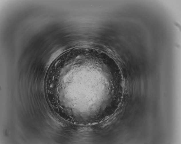 X0000096490099200801311627