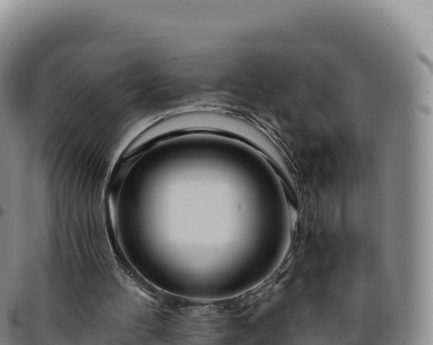 X0000096490100200801311627