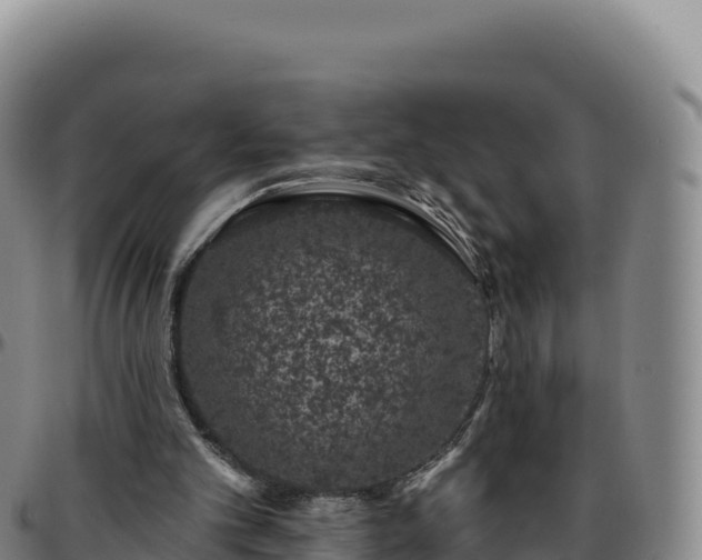 X0000096490101200801311627