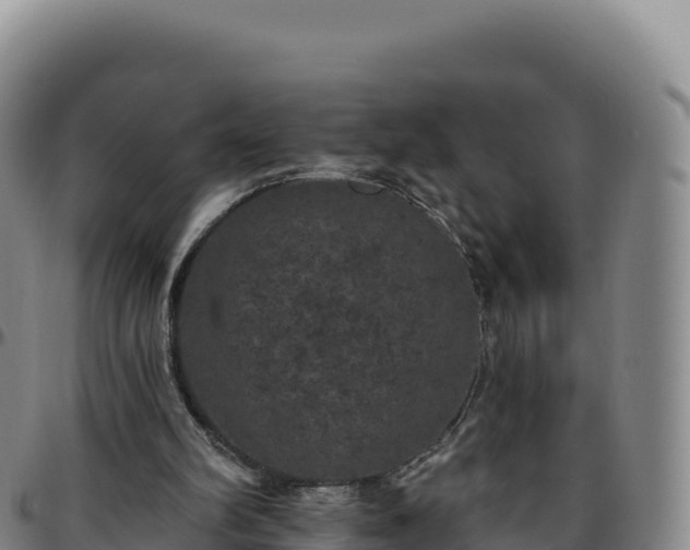 X0000096490102200801311627