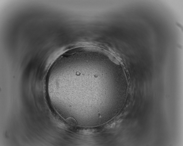 X0000096490103200801311627