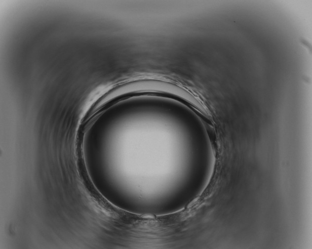 X0000096490104200801311627