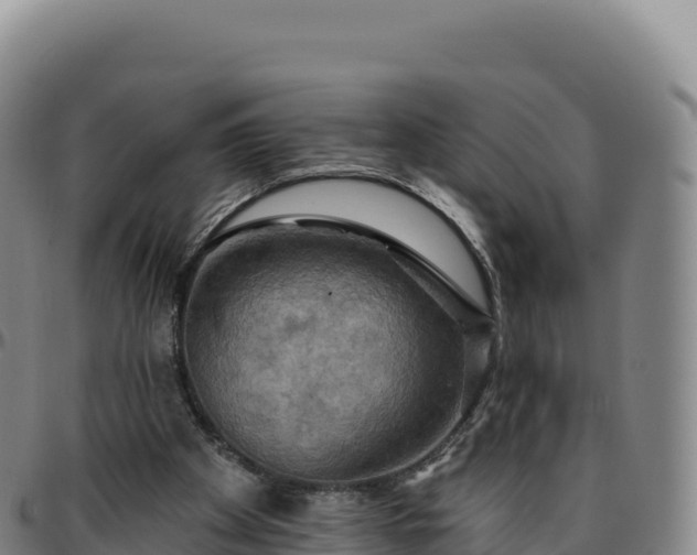 X0000096490105200801311627