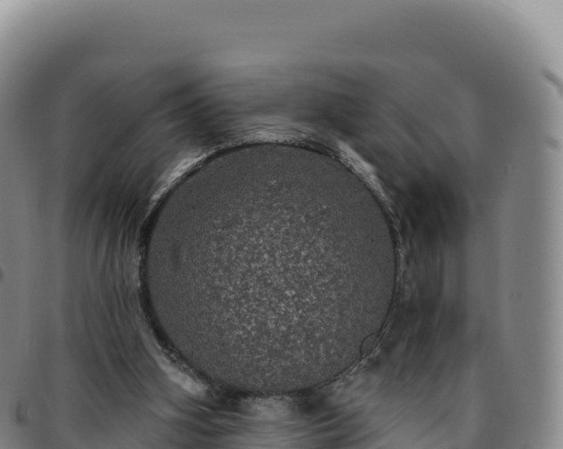 X0000096490106200801311627