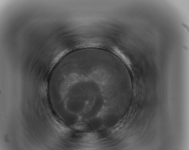 X0000096490107200801311627