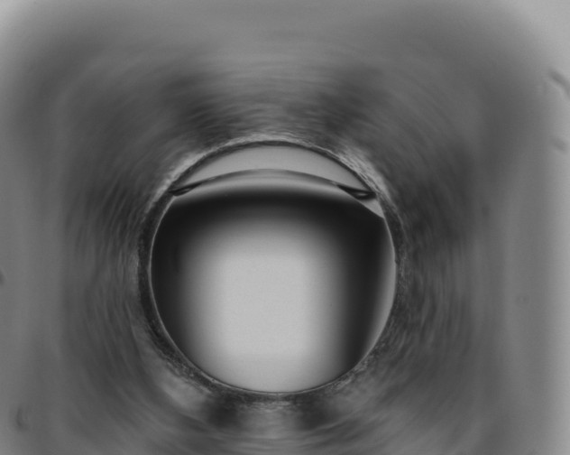 X0000096490108200801311627