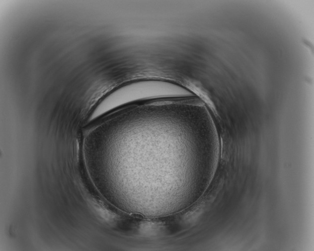 X0000096490109200801311627