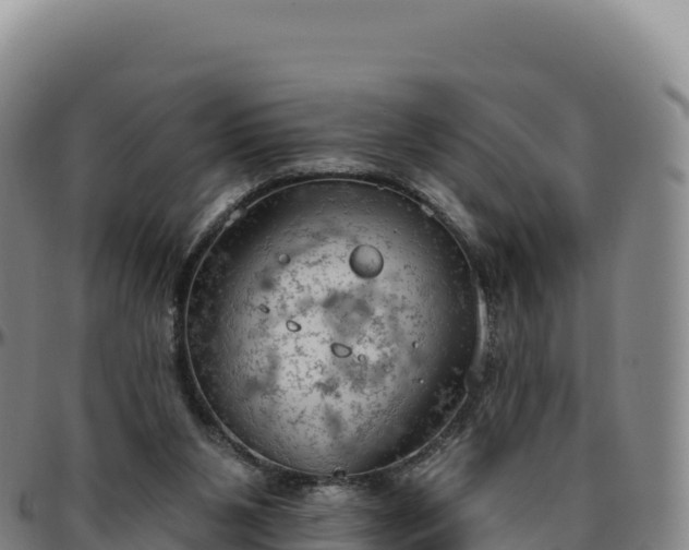 X0000096490111200801311627