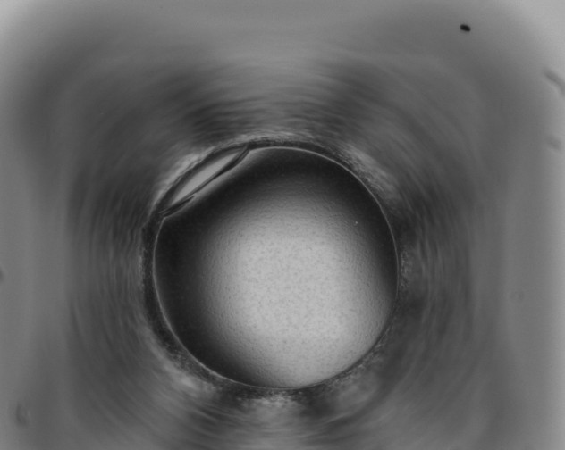 X0000096490112200801311627