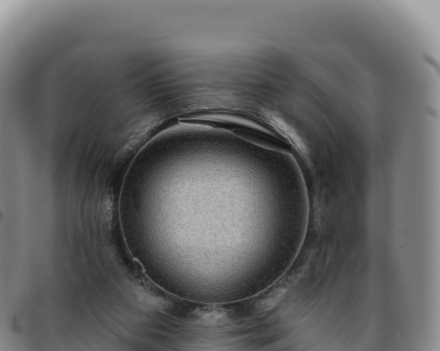 X0000096490113200801311627