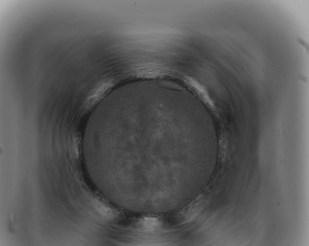 X0000096490114200801311627