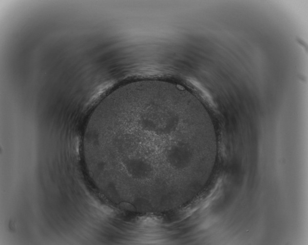 X0000096490115200801311627