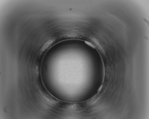 X0000096490116200801311627