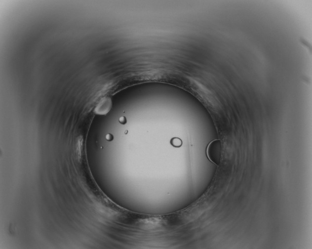 X0000096490118200801311626