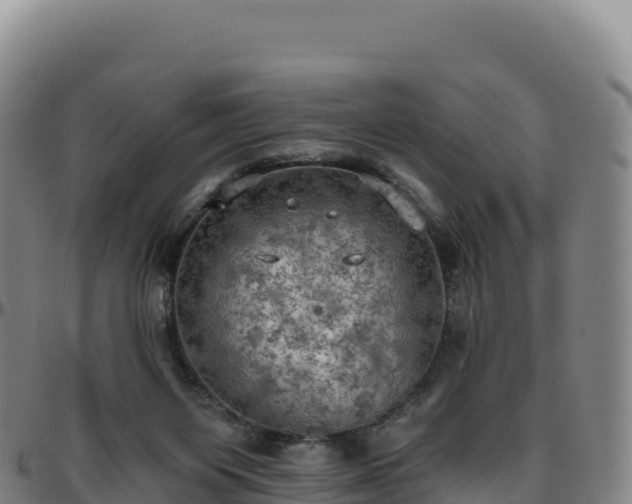 X0000096490119200801311626