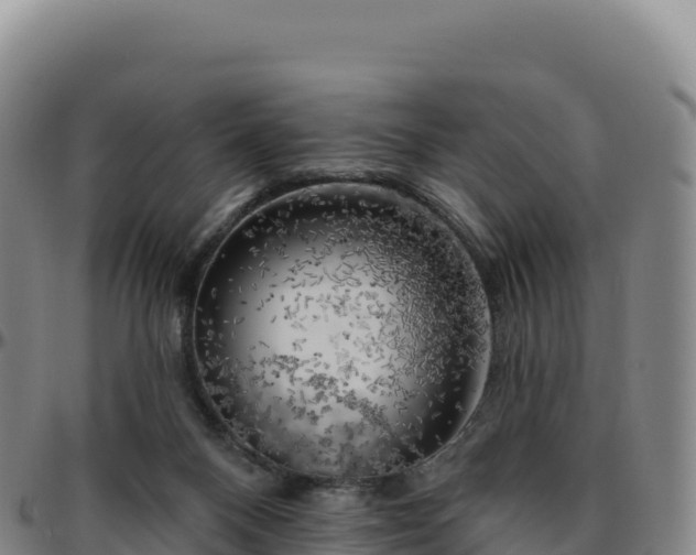 X0000096490120200801311626