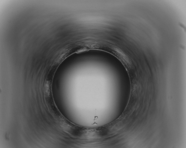 X0000096490121200801311626