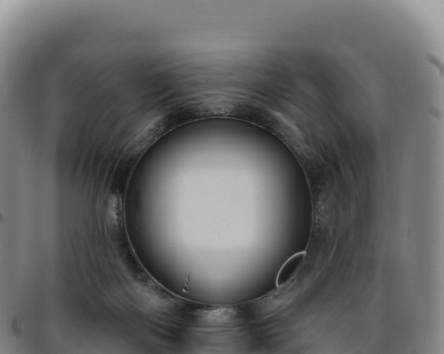 X0000096490122200801311626