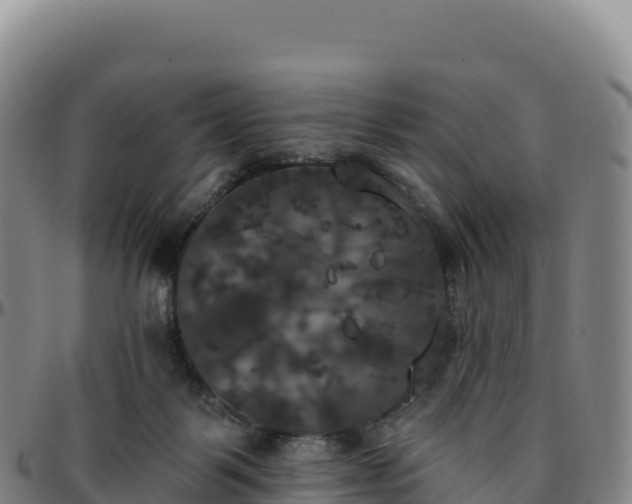 X0000096490123200801311626