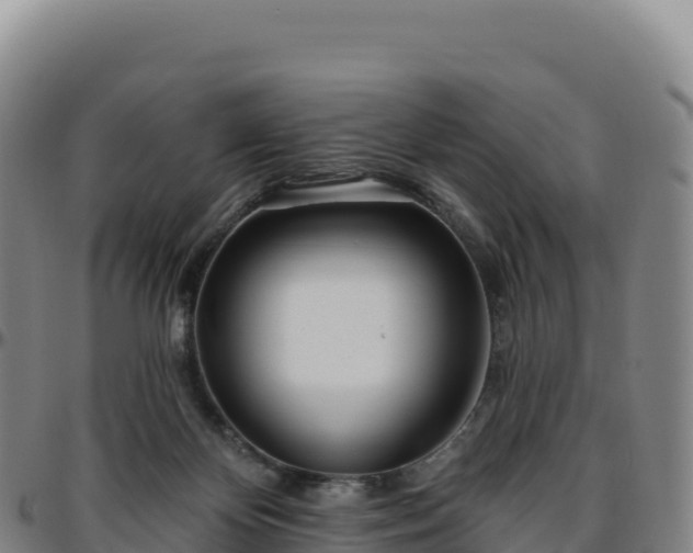 X0000096490124200801311626