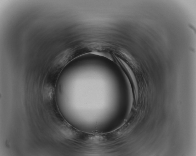 X0000096490125200801311626