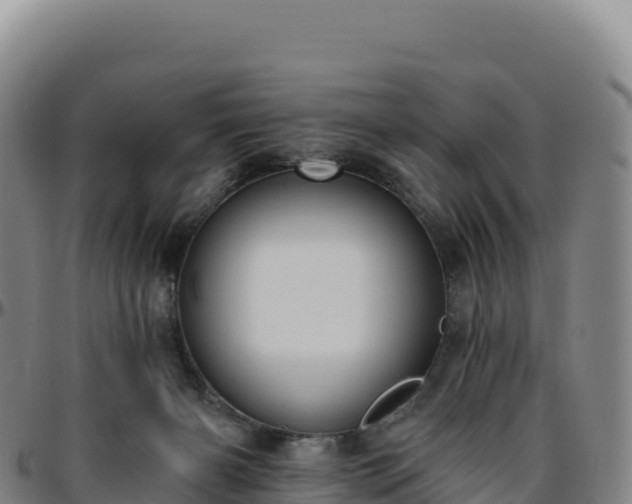 X0000096490126200801311626