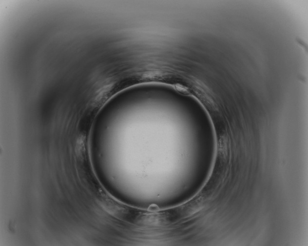 X0000096490127200801311626